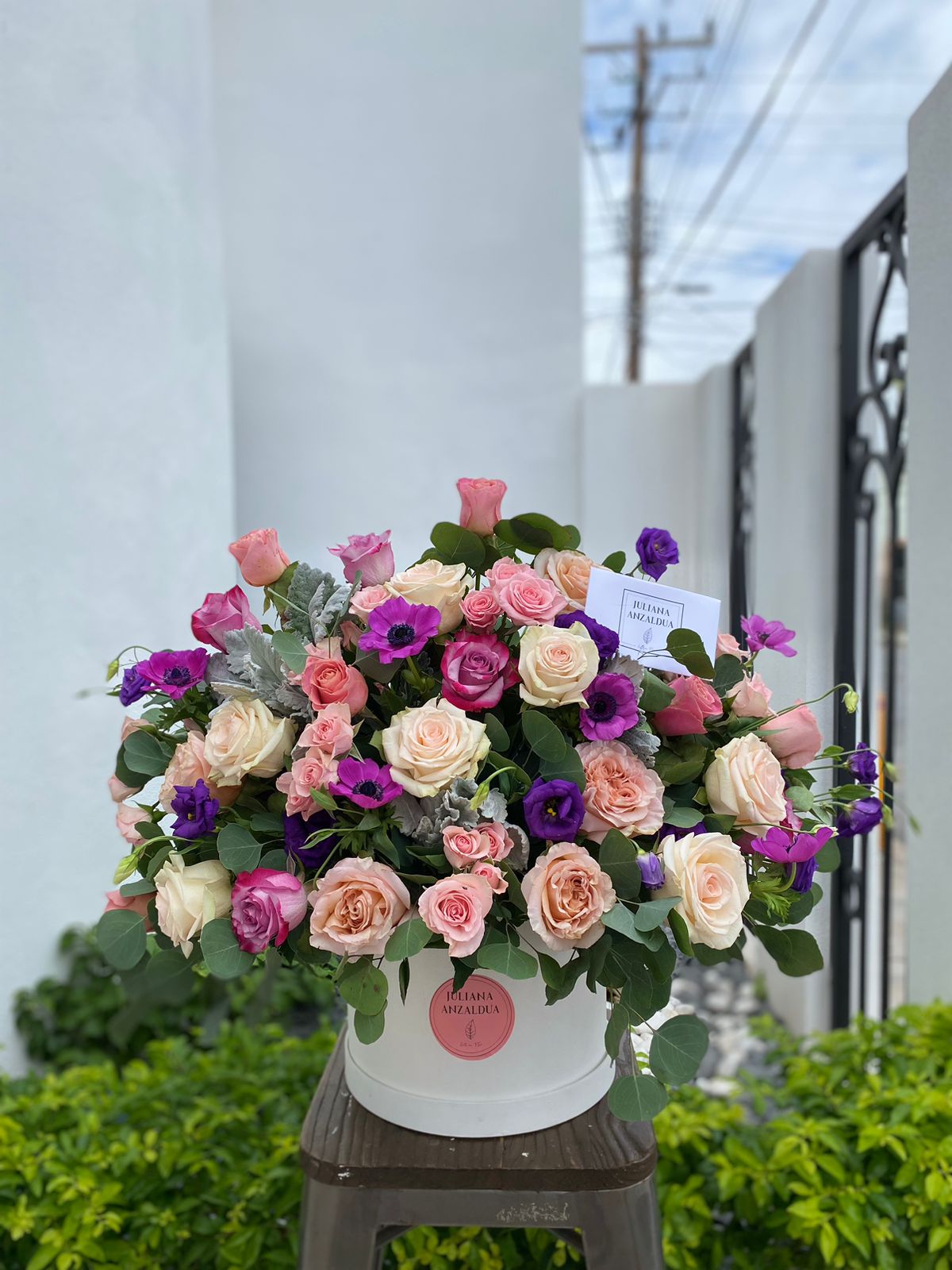 Tierno Jardin Premium