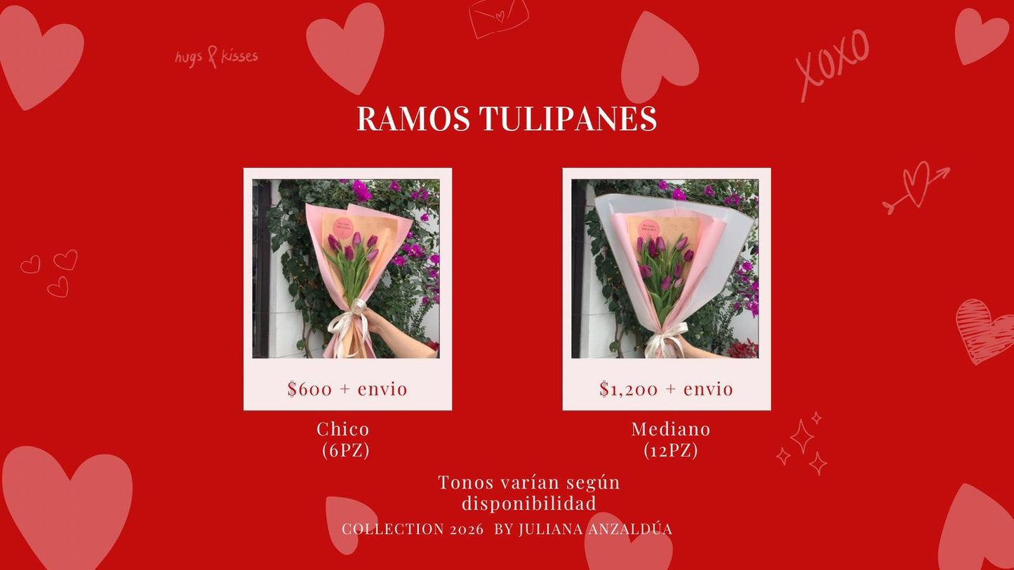 Ramo Tulipanes (14 Feb)