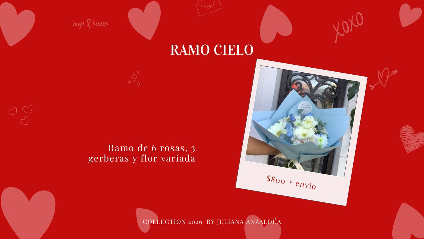 Ramo cielo (14 Feb)