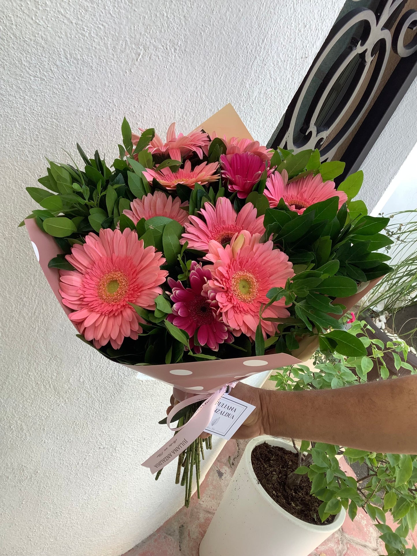 Ramo Gerberas