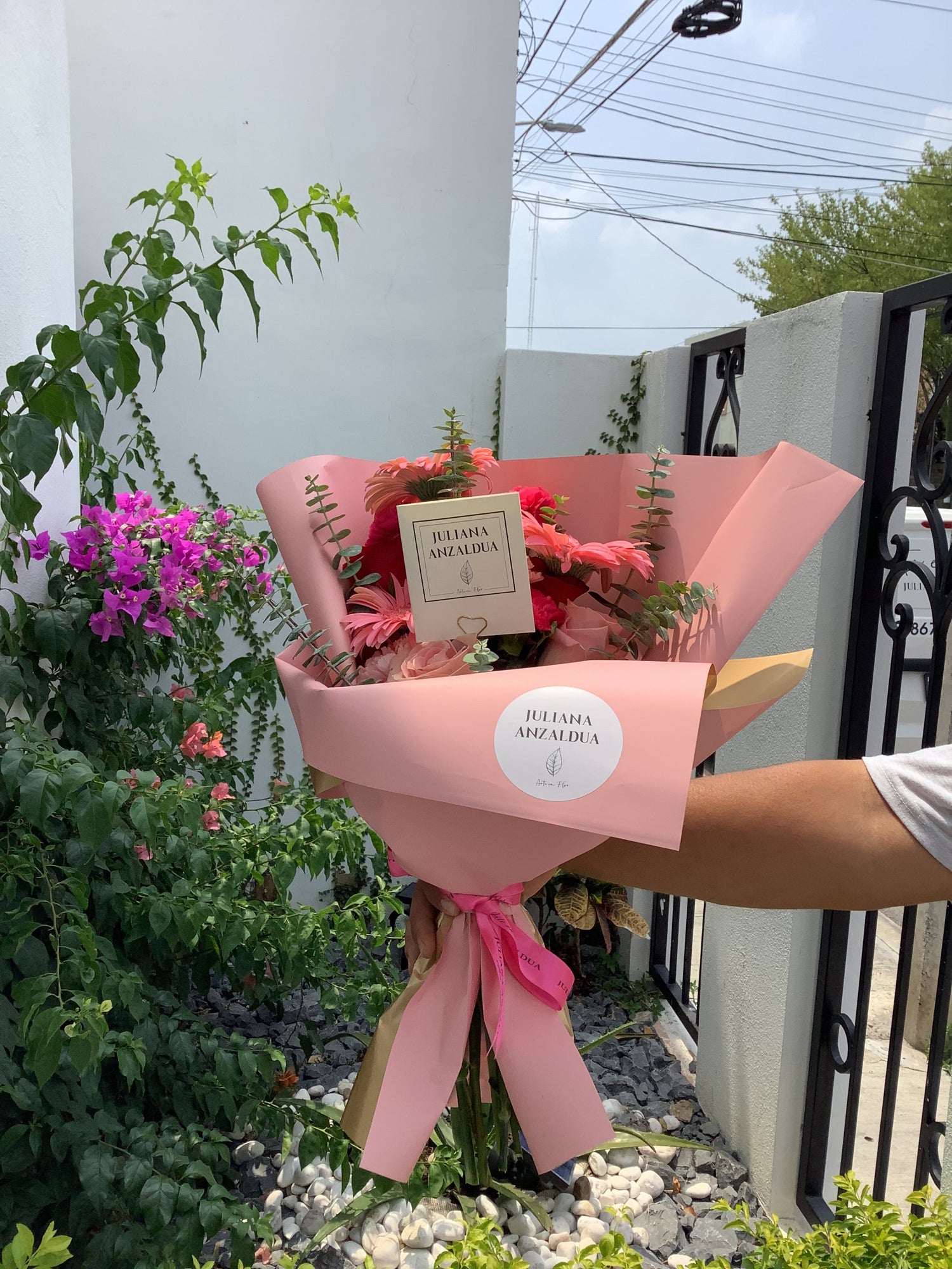 Graduacion y recitales