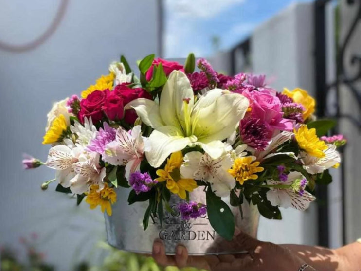 Flowers & Garden