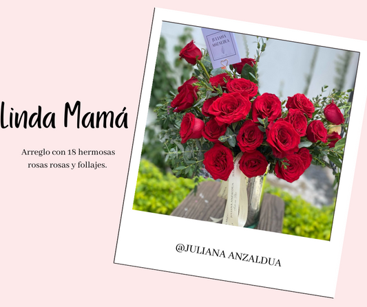 Linda Mamá (10 Mayo)
