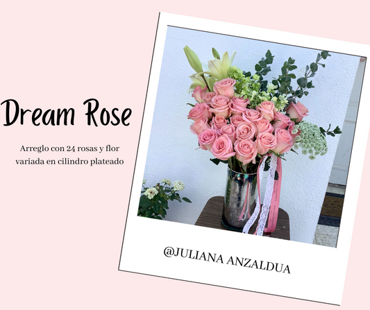 Dream Rose (10 Mayo)