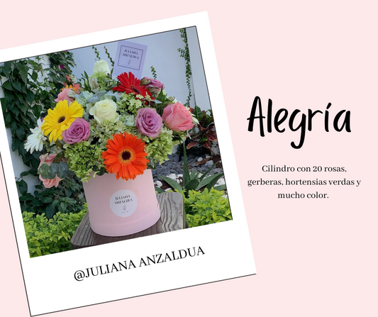 Alegría (10 Mayo