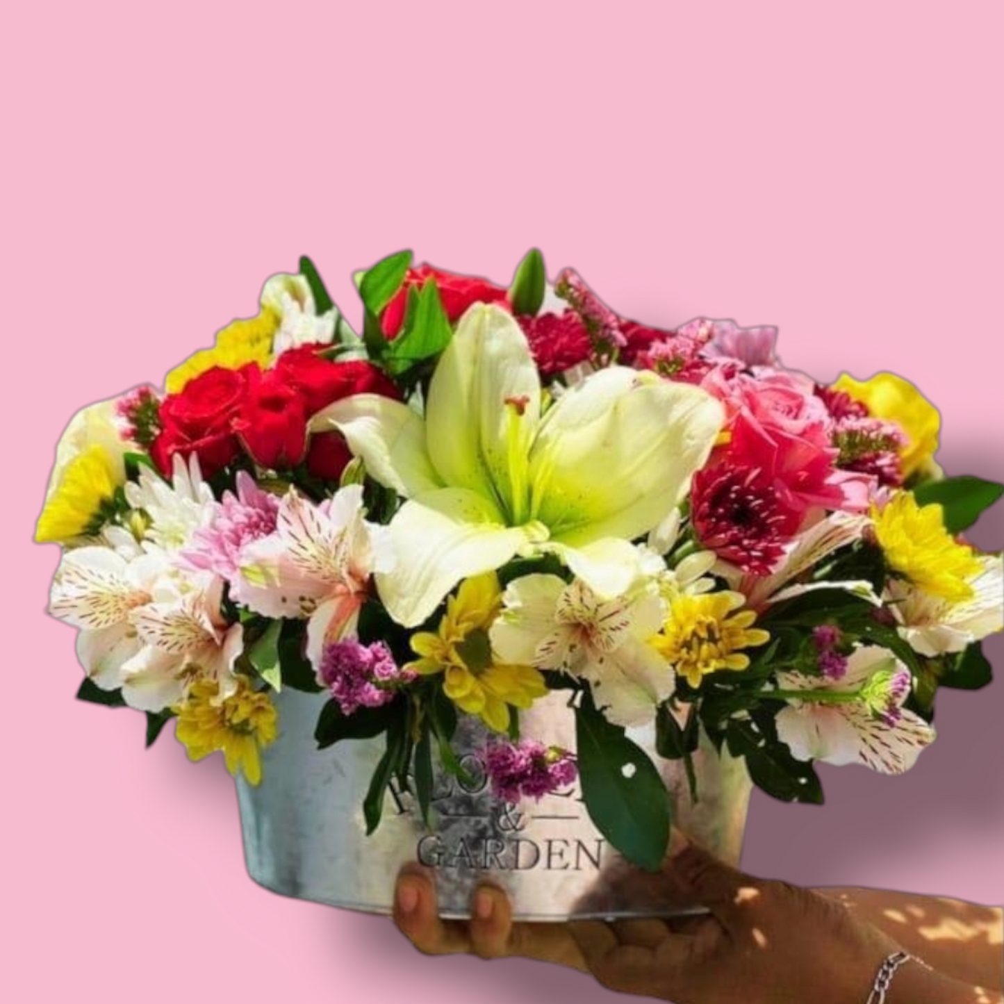 Flowers & Garden