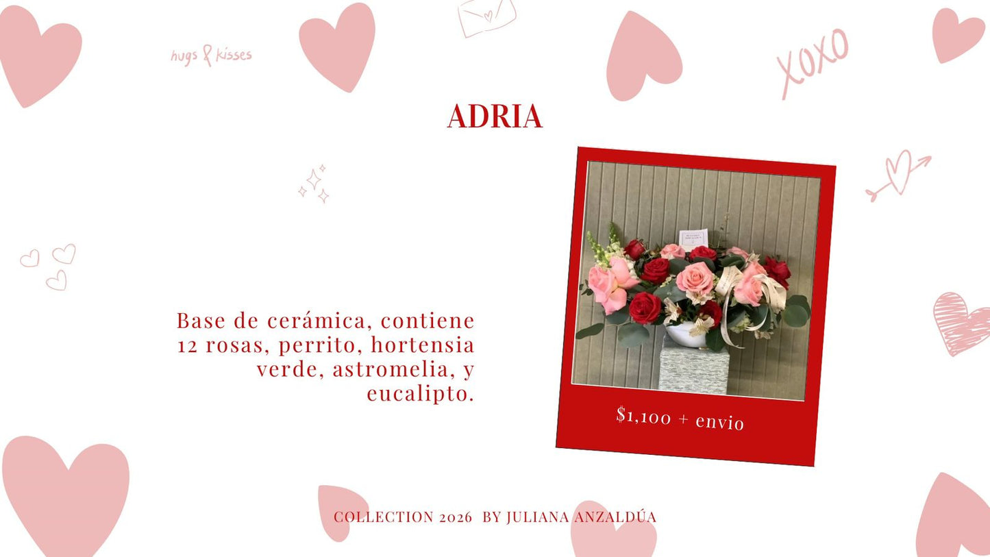 Adria (14 Feb)