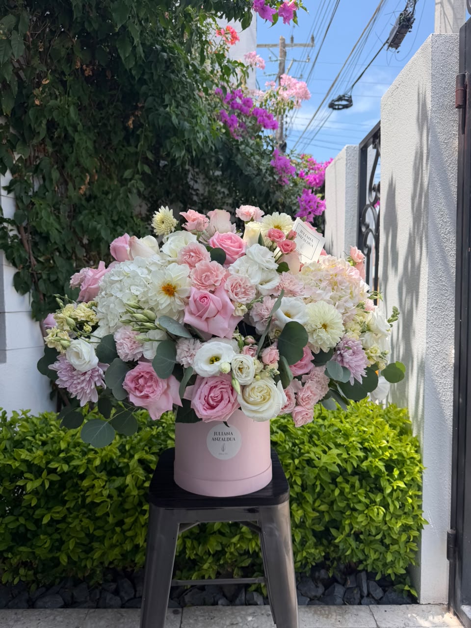 Dream Rose