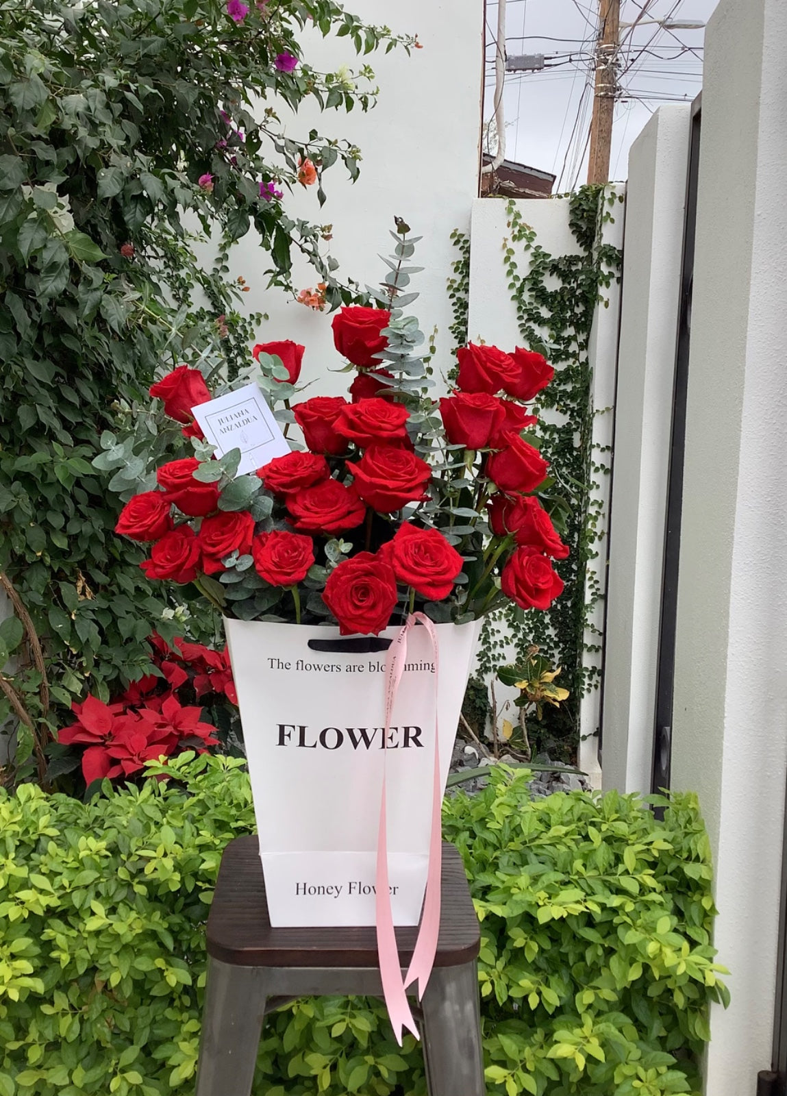 Flower love (14 Feb)